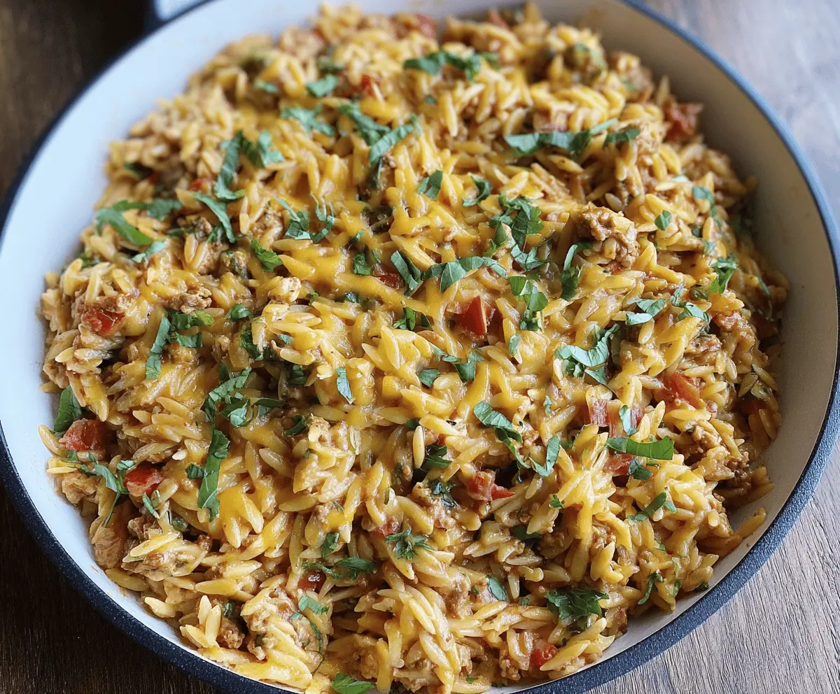 Easy Ground Turkey Orzo Recipe for a Quick Healthy Meal