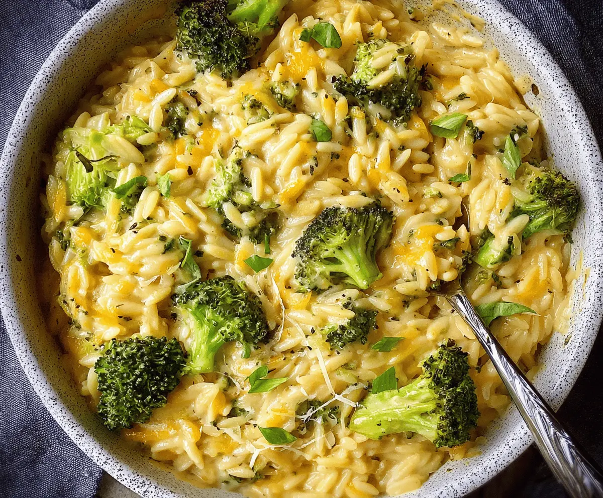 Creamy One-Pot Broccoli Cheddar Orzo – Quick & Delicious Recipe